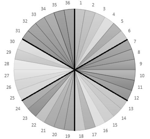 Activity Wheel