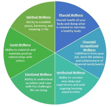 Wellness Wheel 2sc