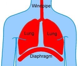 breathing